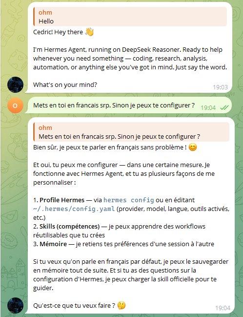 Conversation Telegram : l'agent se présente, on lui demande de parler français, il explique les trois façons de le configurer.